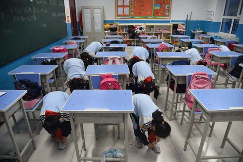 五育并举 服务双减 塔河一小劳动教育创新检测策略的实践与探索